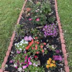 garden_small_3