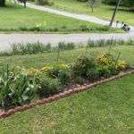 garden_small_6