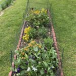garden_small_7